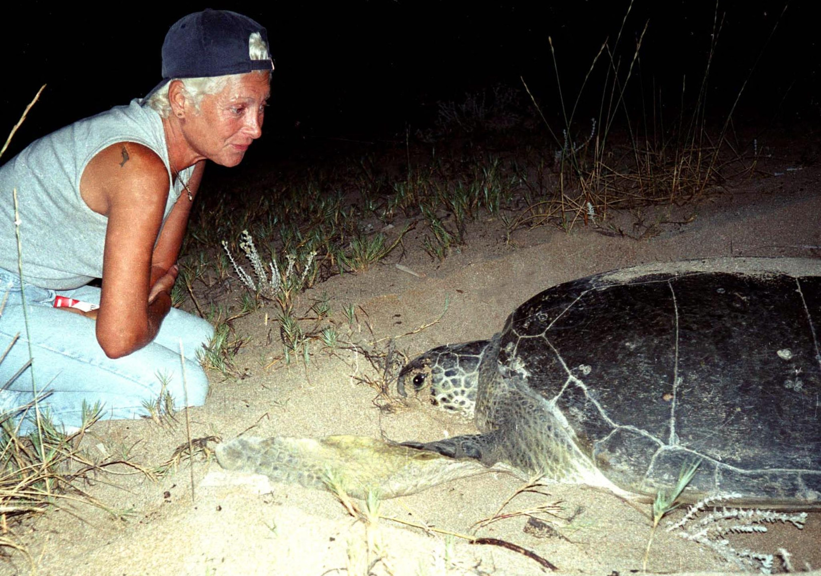 Killed in Israeli strike, Mona Khalil remembered as the guardian of turtles