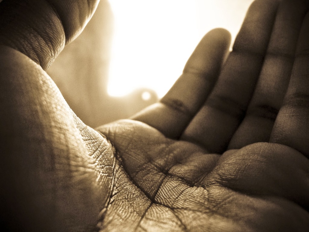 Paradise and Its Delights: The Soil, Sand and the Light