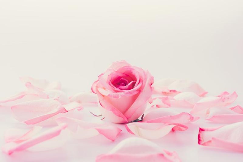 Sarah – Wife of Prophet Ibrahim (AS)